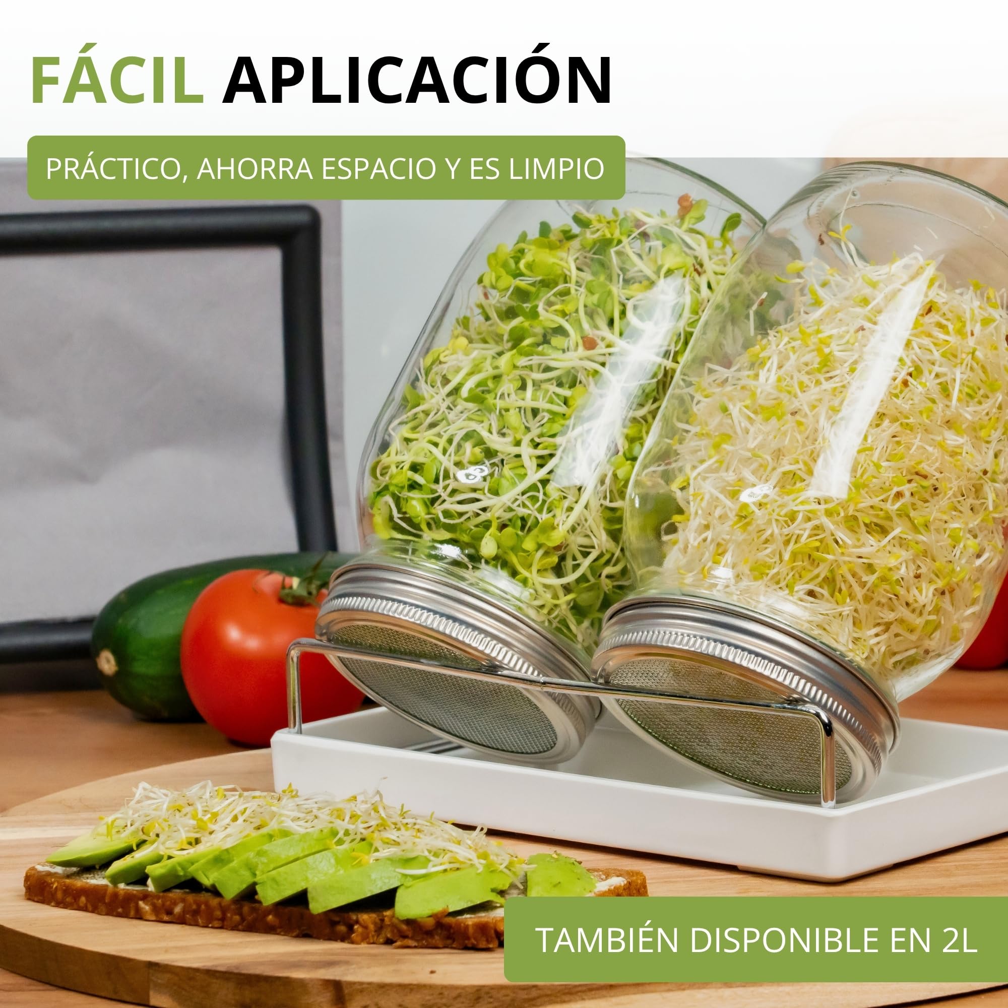 Westmark Juego de 2 tarros de germinación con Tapa de colador de Acero Inoxidable y escurridor, para brotes, microvegetales, 950 ml