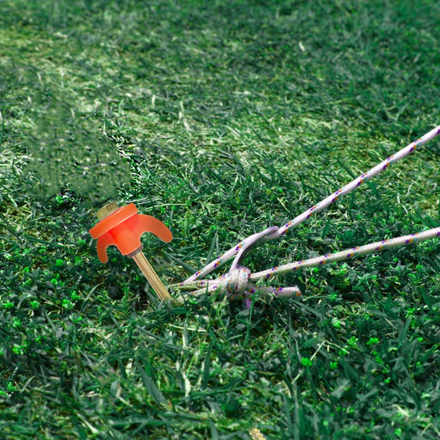 10 Pezzi Picchetti Tenda 21 cm Pioli da Tenda Campeggio Picchetti per Tenda Giardino Picchetti per Tende per Accessori Giardino, Camper, Pesca, Campeggio, Viaggio