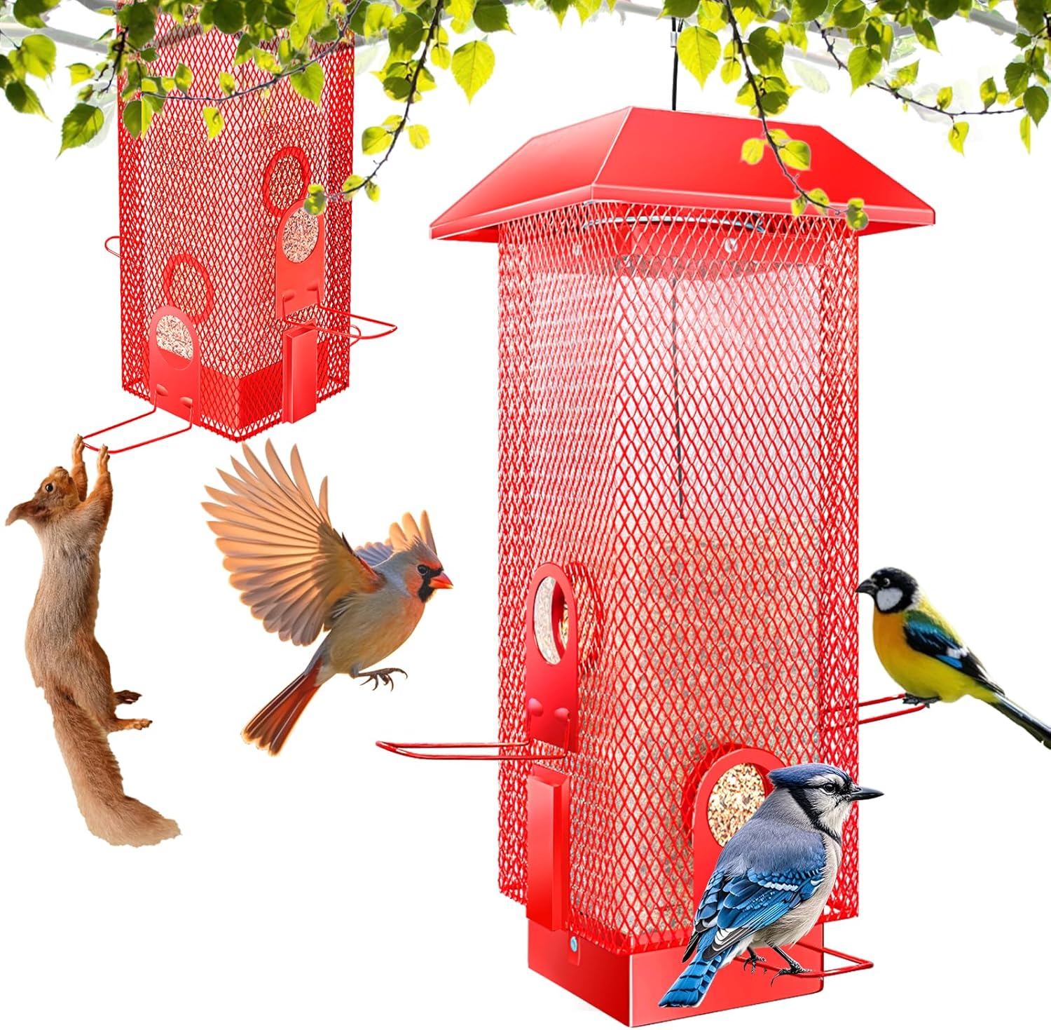 Squirrel Proof Bird Feeder