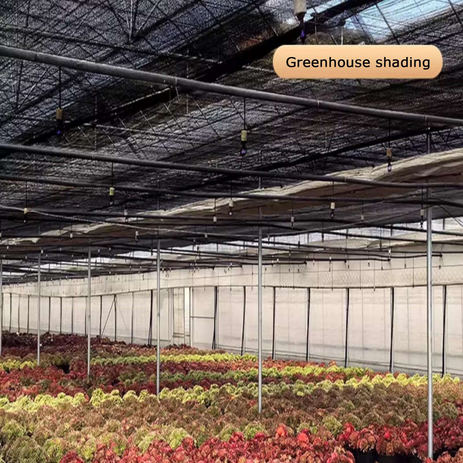 Heavy-Du - Rete termica per serra e tettoie, 5,5 x 5,5 m, protezione UV e resistente alle intemperie