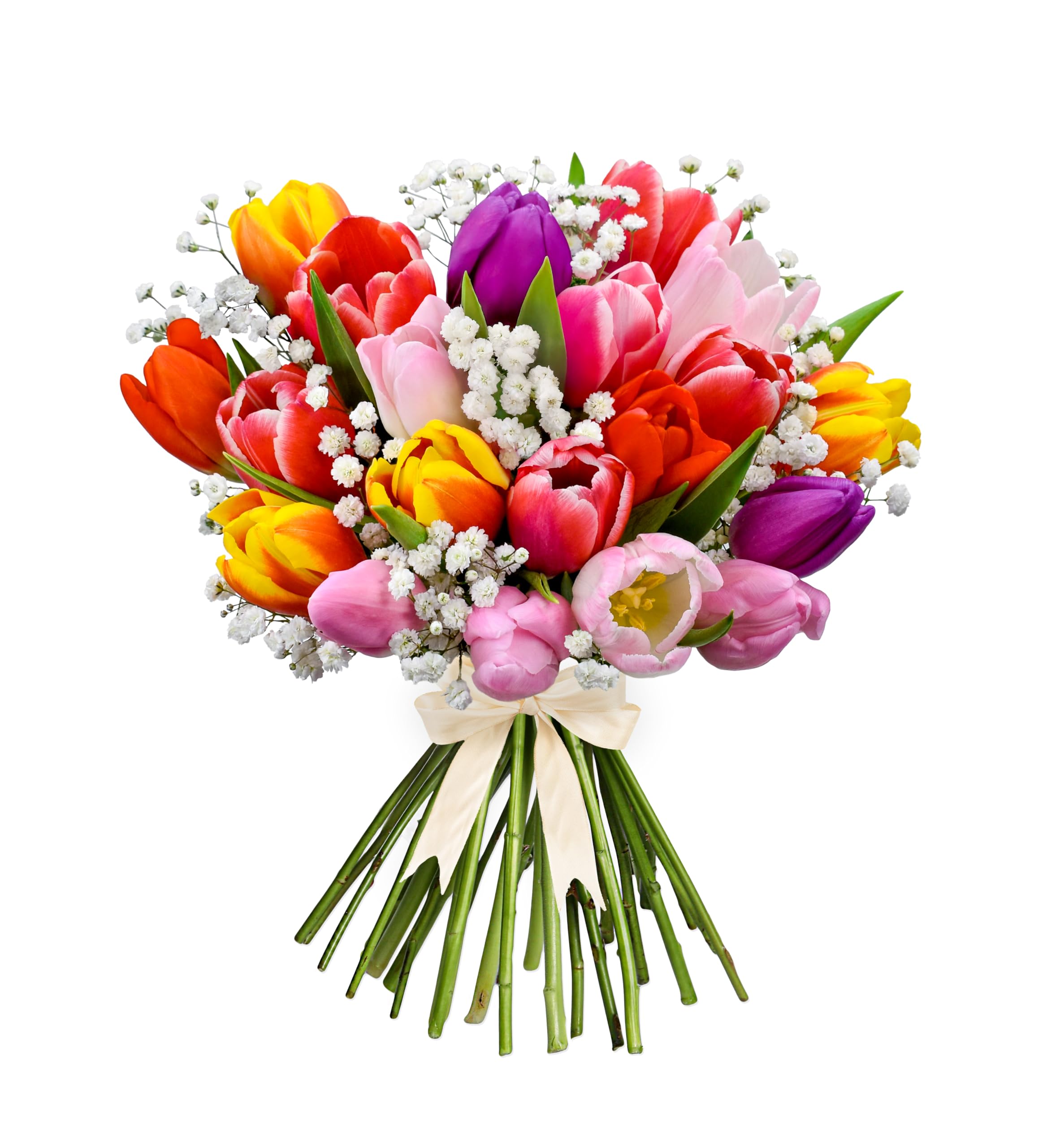 Spring Supreme Tulip & Gypsophila Bouquet – Vibrant Seasonal Flower Arrangement for Birthdays, Anniversaries & Thoughtful Gifting – Colourful Fresh Blooms to Brighten Any Space