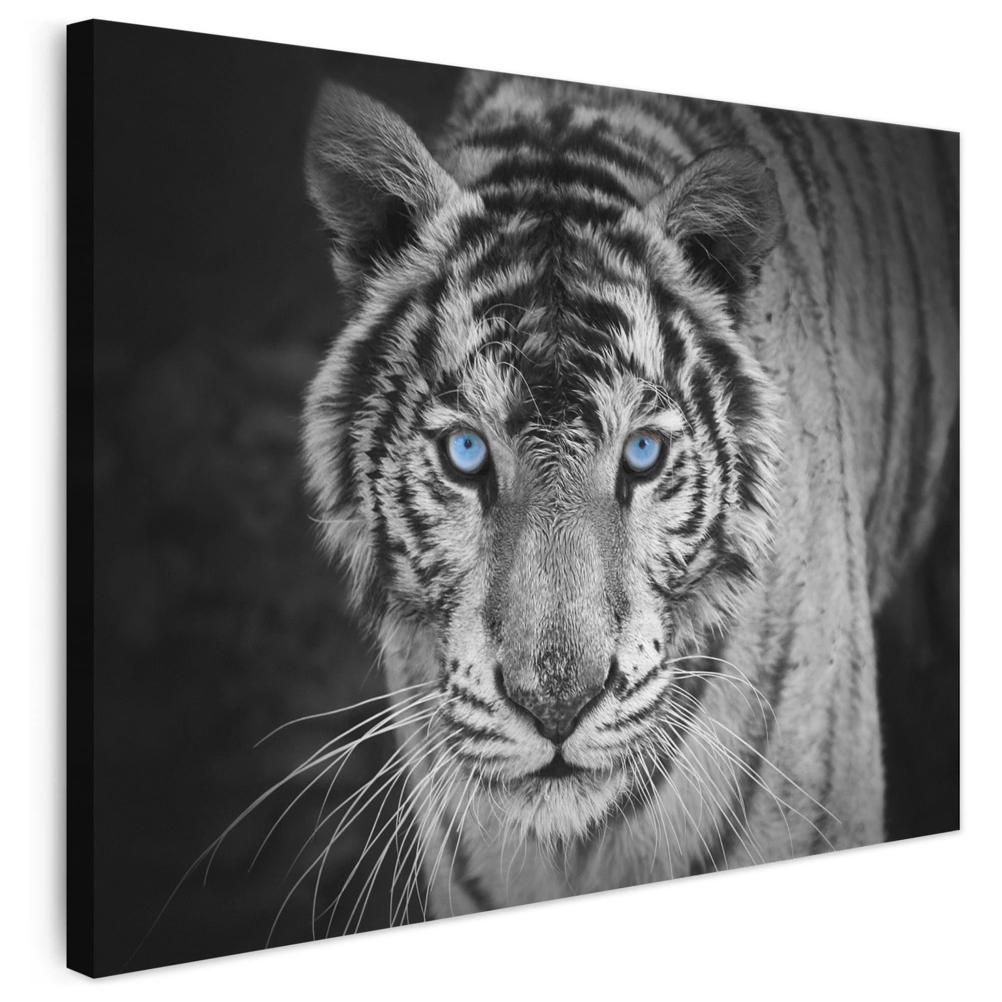 MuchoWow© Canvas Wall Art Paintings Print Framed Pictures