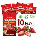 Freeze Dried Fruit Strawberries Slices - 10 Pack Single-Serve, No Added Sugar Package - 0.88 Oz 100% Natural Freeze Dried Snacks for 30 Servings Strawberry Single Flavour (Pack of 10)