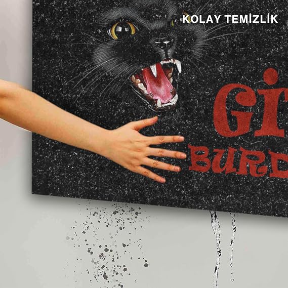 Monnhein Tasarımlı Dekoratif Kapı önü Paspas, Dış Mekan/Ev İçi/Banyo/Mutfak/Yatak Odası/Giriş Paspasları (Git Buradan Siyah, 45X70)