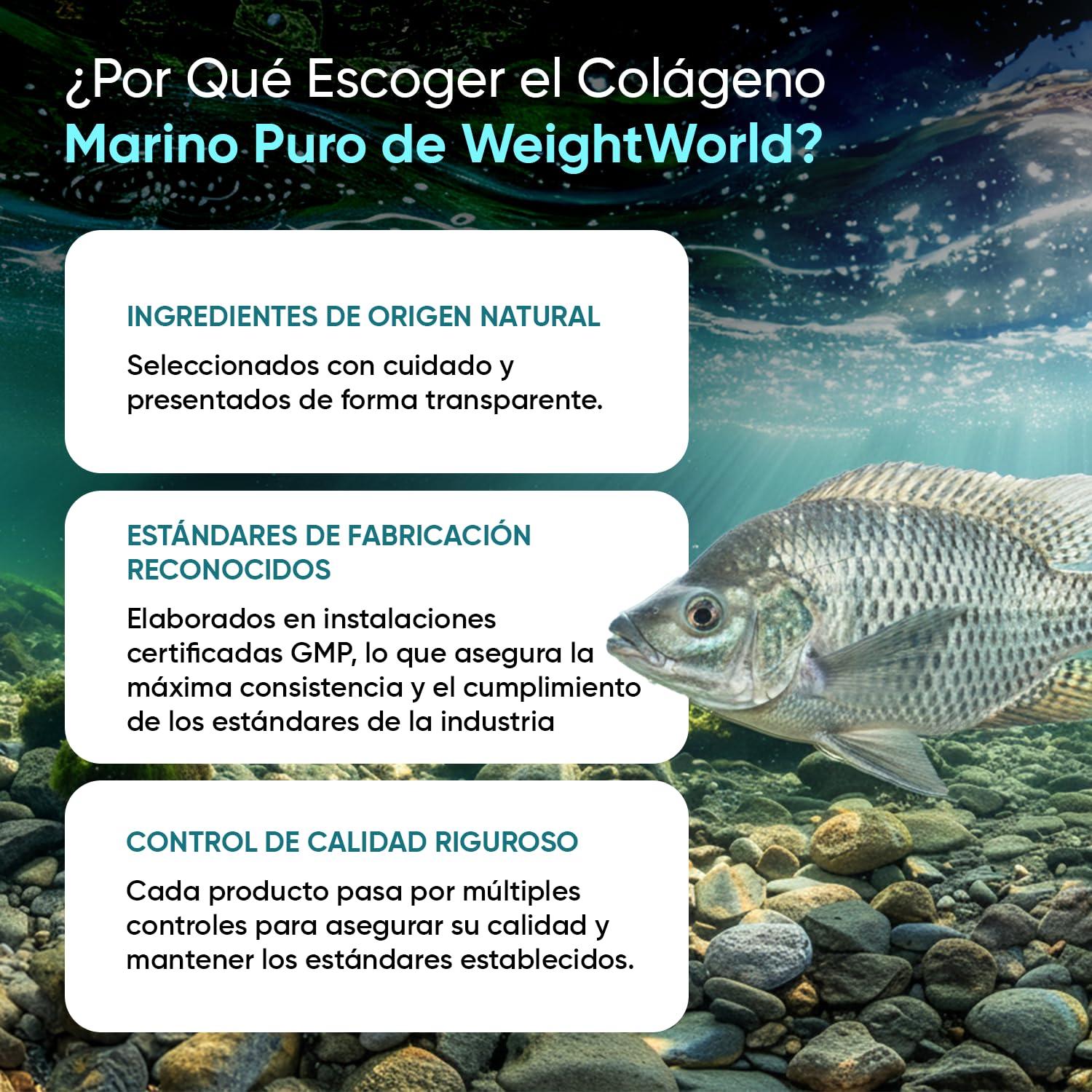 Colágeno Marino Hidrolizado 100% Puro 1200 mg - 120 Cápsulas de Péptidos de Colágeno de Pescado Hidrolizado Tipo I y III - Suministro para 2 Meses, Sin Gluten y Sin OGM