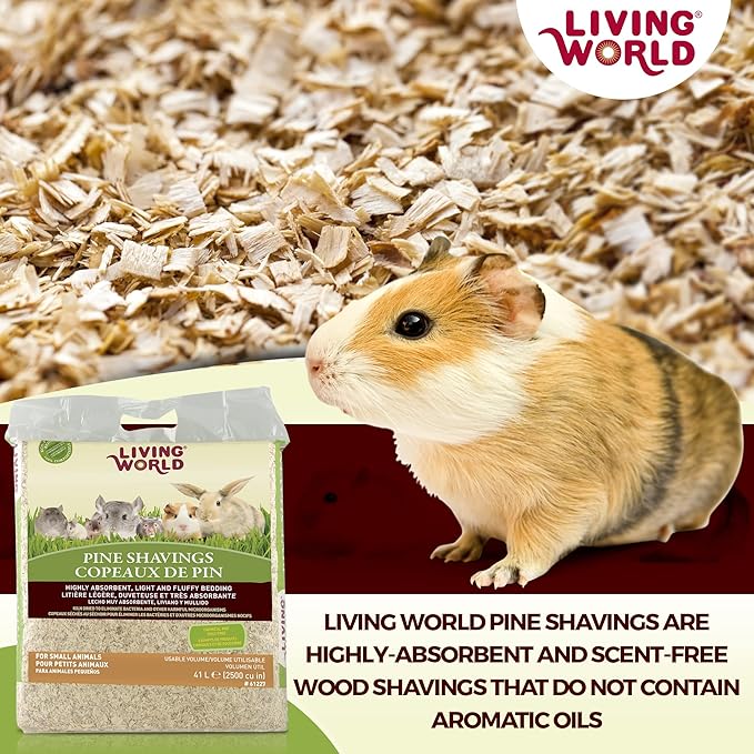 pine bedding for hamsters