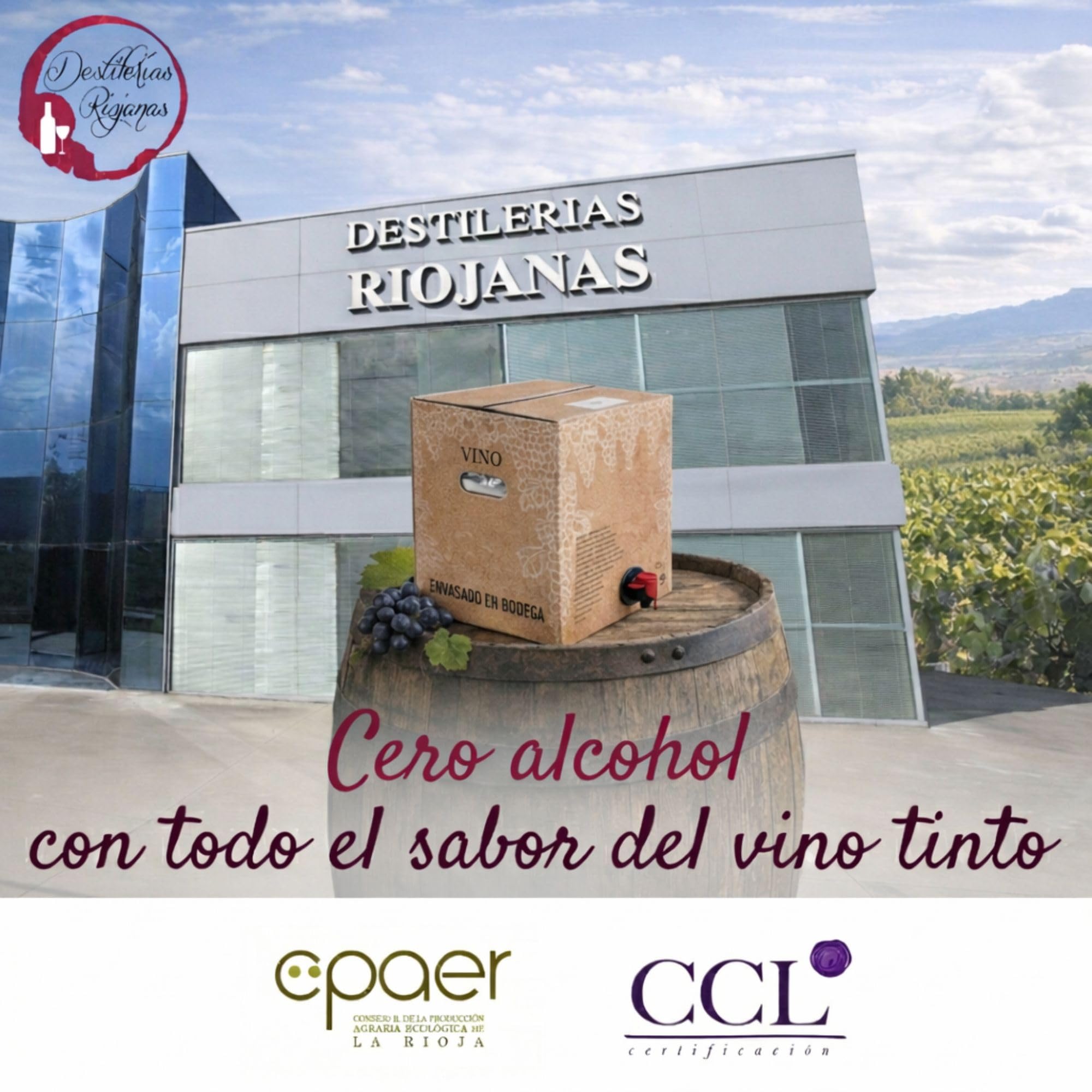 Vino Sin Alcohol Tinto 10L - Bag In Box Vino Tinto. Vino Sin Alcohol 0,0 Vino Desalcoholizado, Saludable, con Antioxidantes y Todo el Sabor a Vino