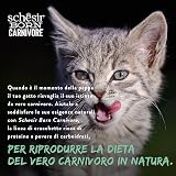 Ver la foto 7