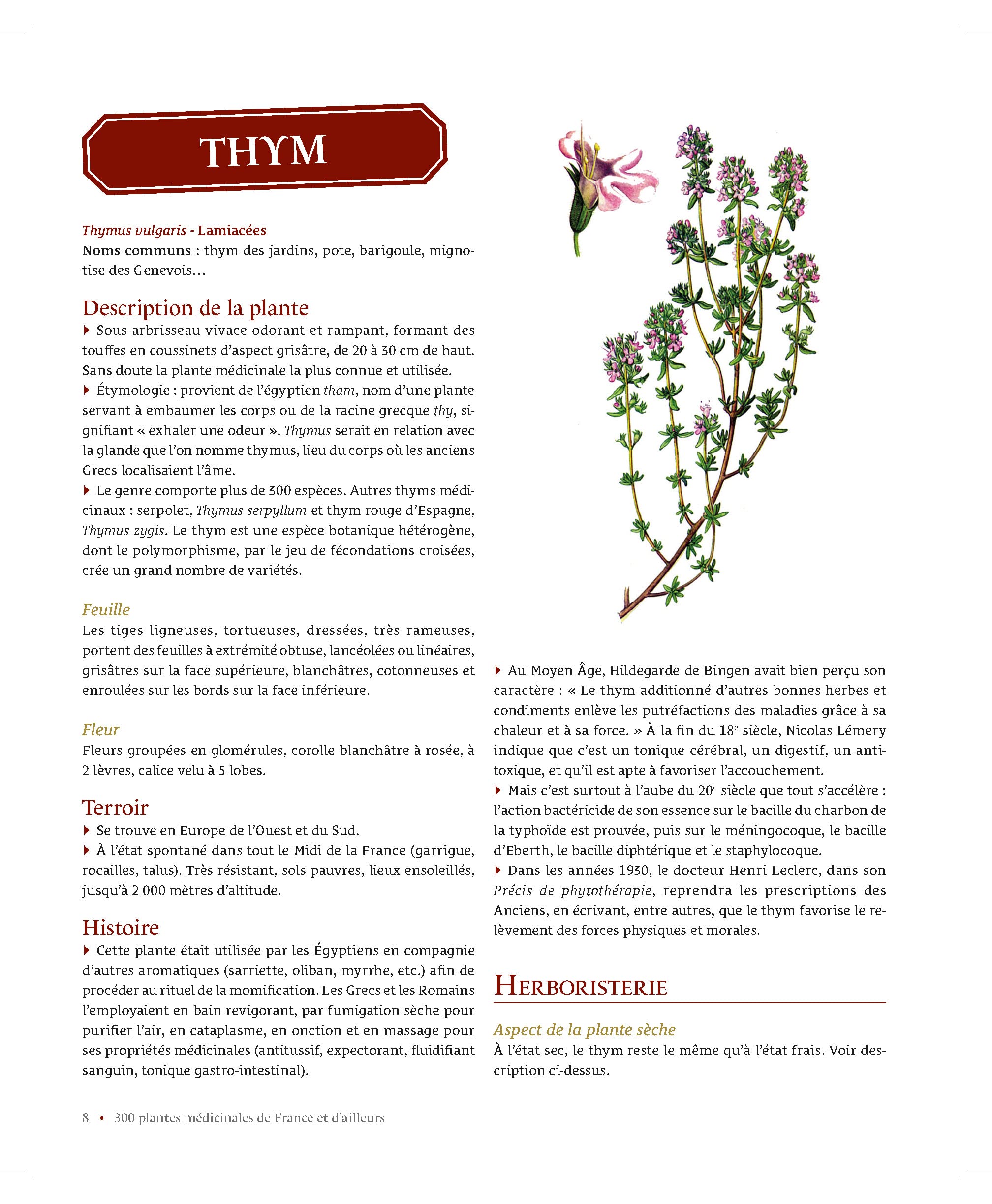 300 plantes médicinales de France et d'ailleurs: Identification, principes actifs, modes d'utilisation...