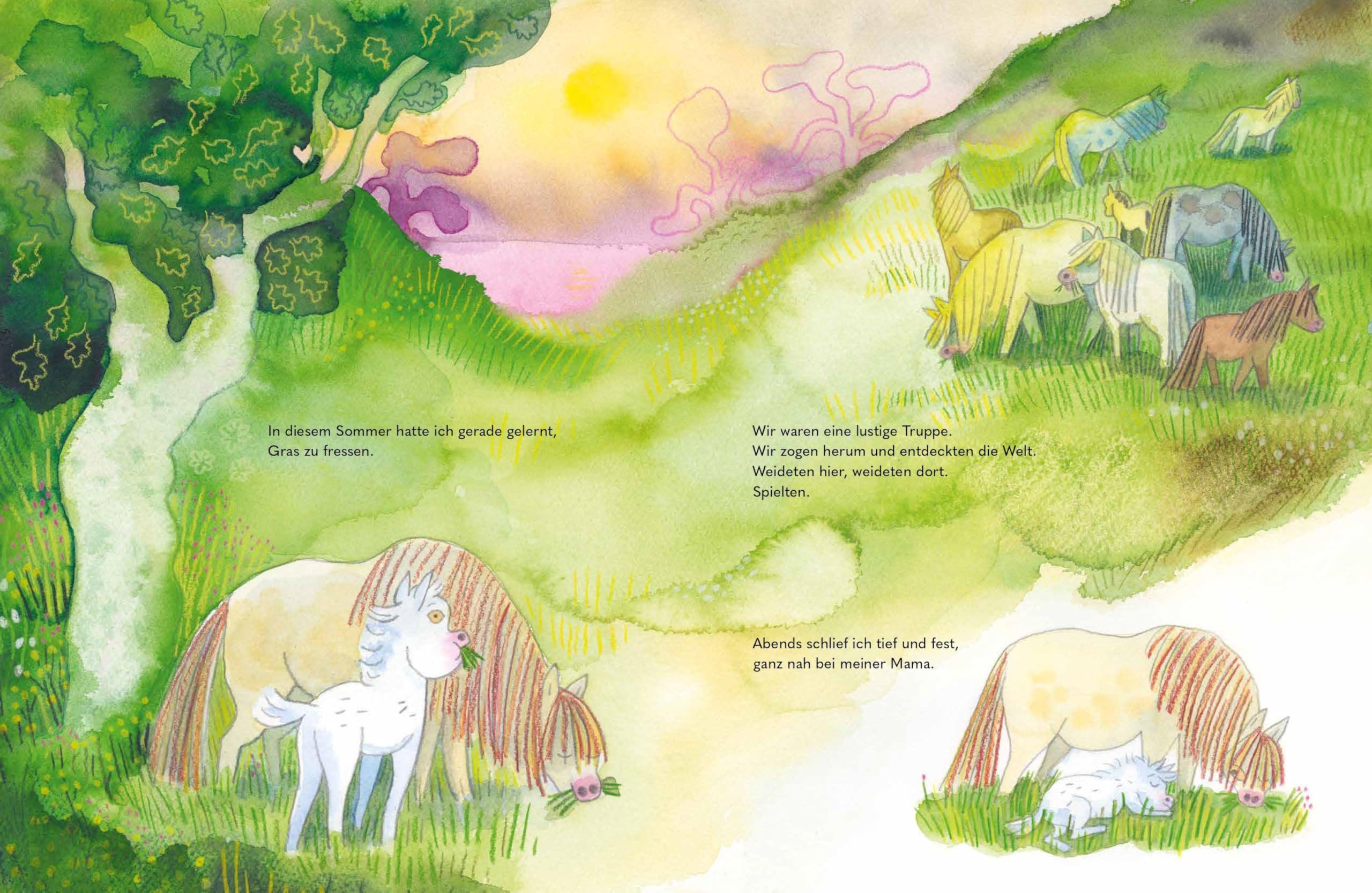 Wild - Ein kleines Pferd braucht Freiheit: Eine Pferdegeschichte über Mut und starke Gefühle | Bilderbuch für Kinder ab 4