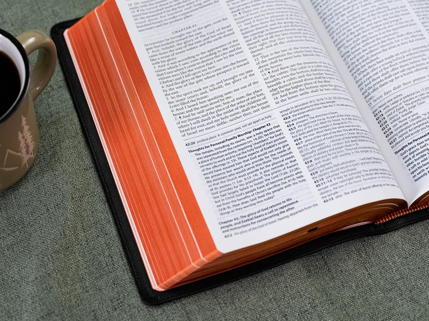 Reformation Heritage (RHB) KJV Study & Devotional Bible: King James Version with Comprehensive Study Notes and Devotions for Every Chapter | Edited by Joel R. Beeke, Michael Barrett, and Gerald Bilkes
