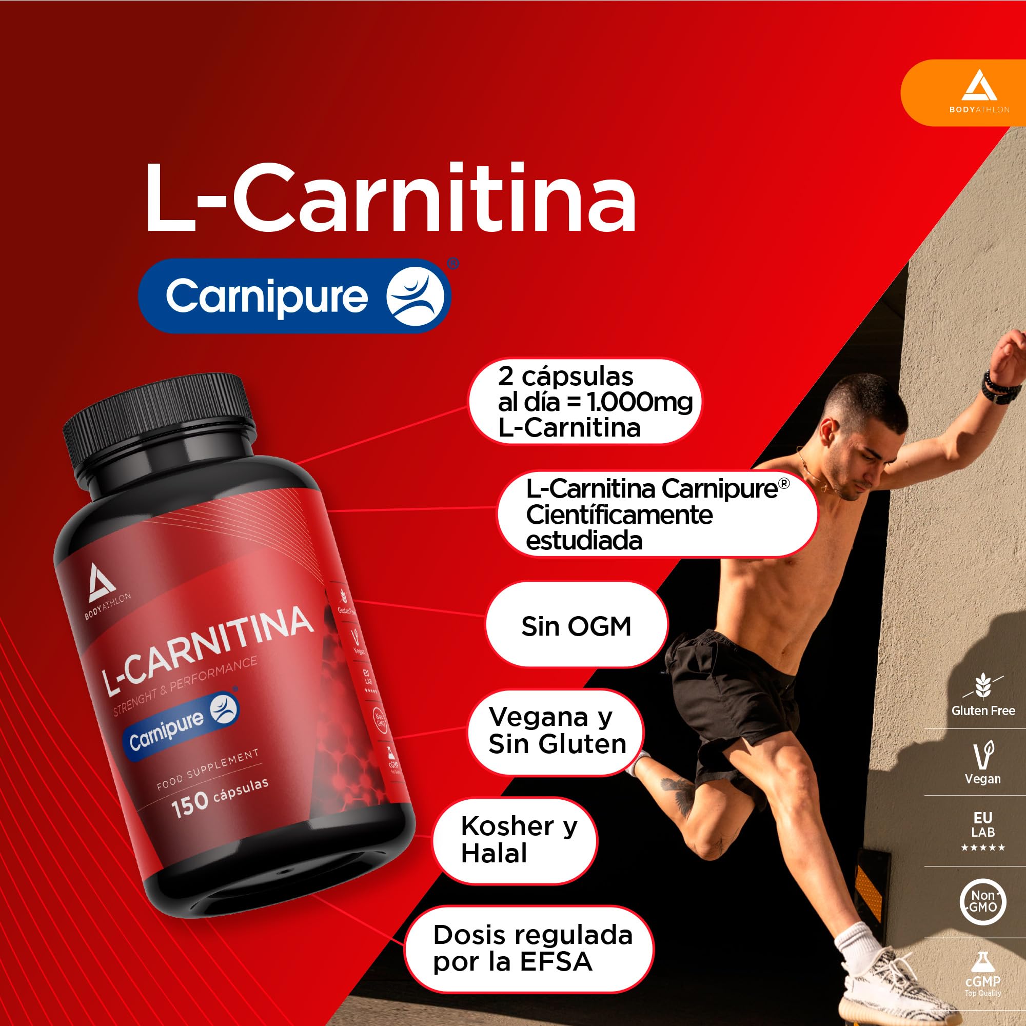 l carnitina running funciones L-Carnitina es un aminocido necesario para el metabolismo y transporte de las natural ingredients L-carnitine can boost your endurance...