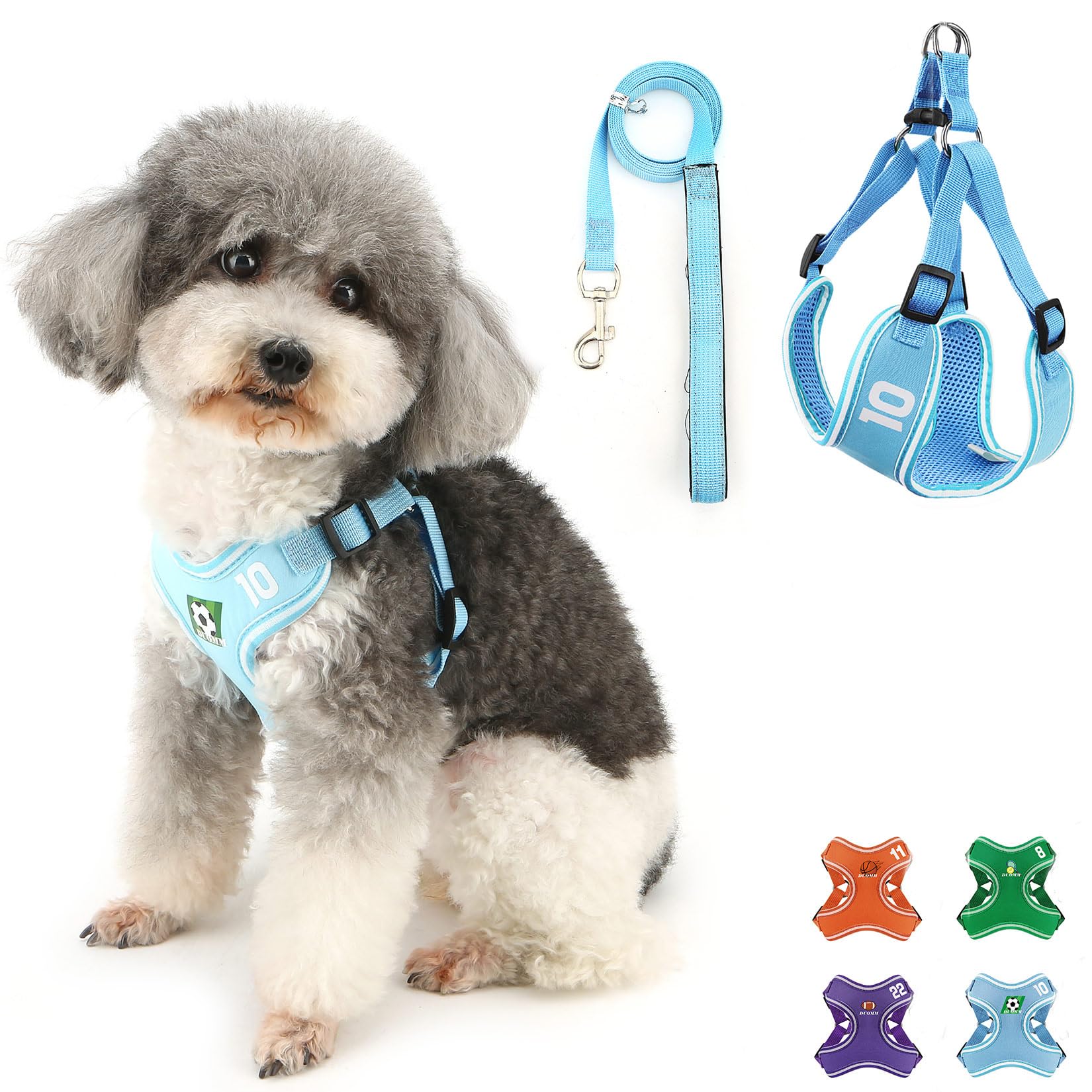 Ranphy Step-in Harness and Leash Set for Small Medium Dog No Pull Cat Harness Escape Proof Soft Mesh Padded Adjustable Reflective Outdoor Walking Puppy Sport Vest,Blue,S