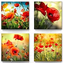 4 Beautiful Poppy Flowers Wall Pictures – Each Canvas Picture is 50 x 50 cm in Size and Ready to Hang, a Modern Living Room or Bedroom Decorative Picture – Nature Pictures Landscape Pictures Set-A