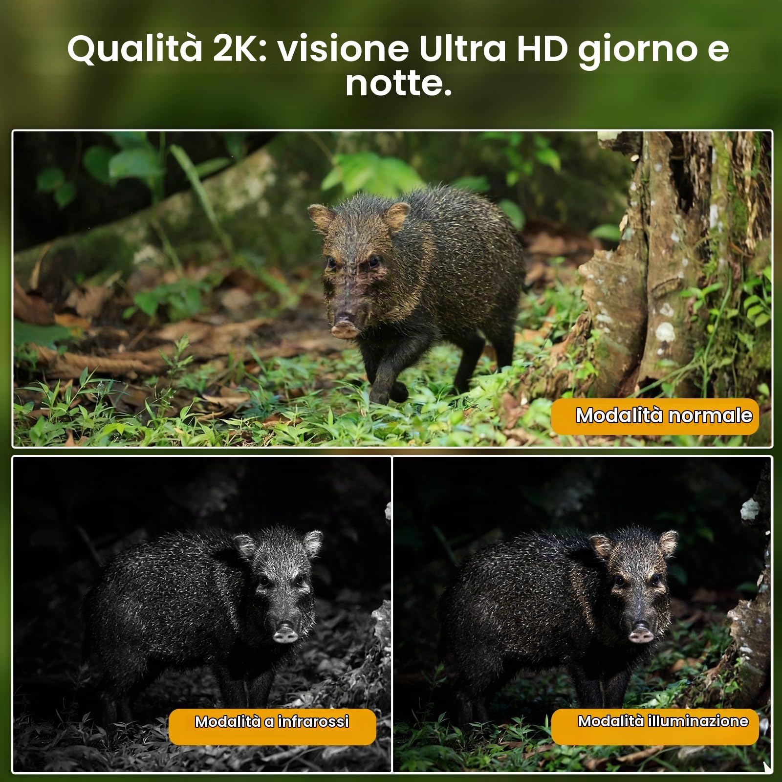 4G Telecamera Esterno con SIM e Pannello Solare,2K Telecamere Batterie Senza Fili,2K 360 PTZ Telecamera Senza WiFi con Pannello Solare e Batterie, Visione Notturna, PIR Rilevamento