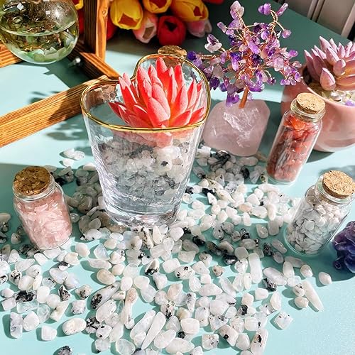 Miniatura 3 de DUQGUHO Piedras trituradas de cristal curativo natural a granel para plantas suculentas, maceta, jarrón, relleno de piedras para macetas, 0.88 libras