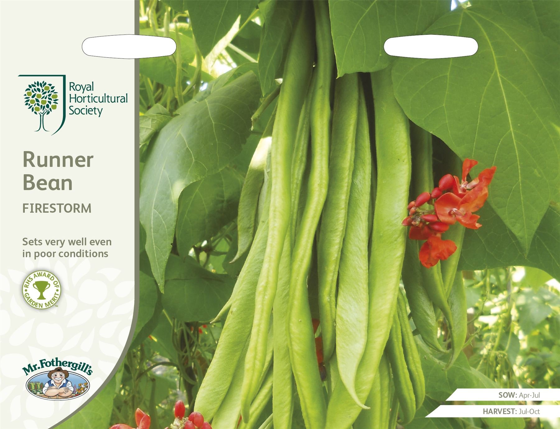 Mr FothergillsVegetable - RHS Runner Bean Firestorm - 40 Seeds