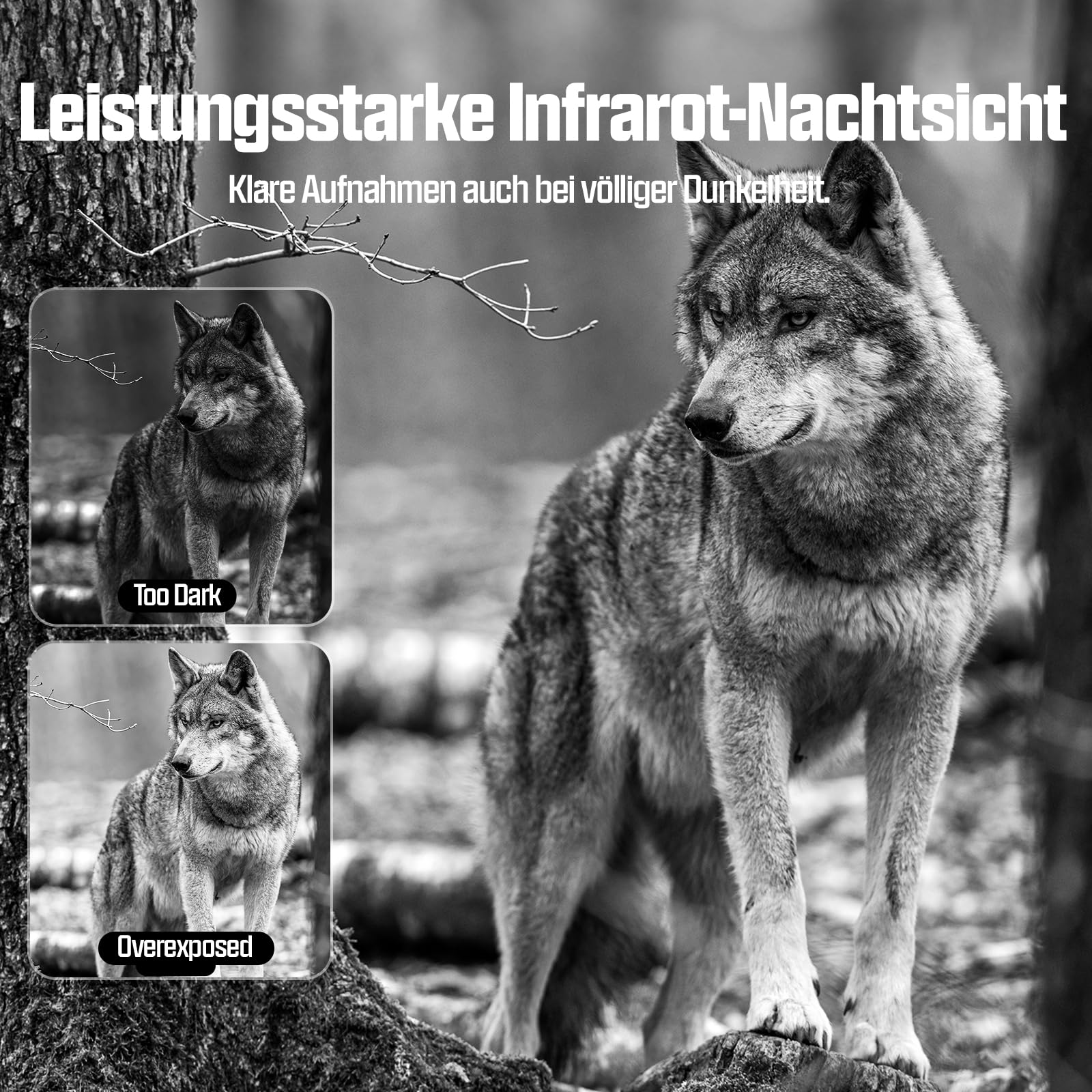 CEYOMUR 4G LTE Wildkamera mit Handyübertragung App, 2K HD Wildkamera mit SIM Karte mit 2.0" LCD-Bildschirm, Wildtierkamera mit IP66 Wasserdicht,Cloud/TF Storage, 0.2s Trigger