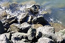 Review Image by Fantabulous Gabby Fantabulous Gabby