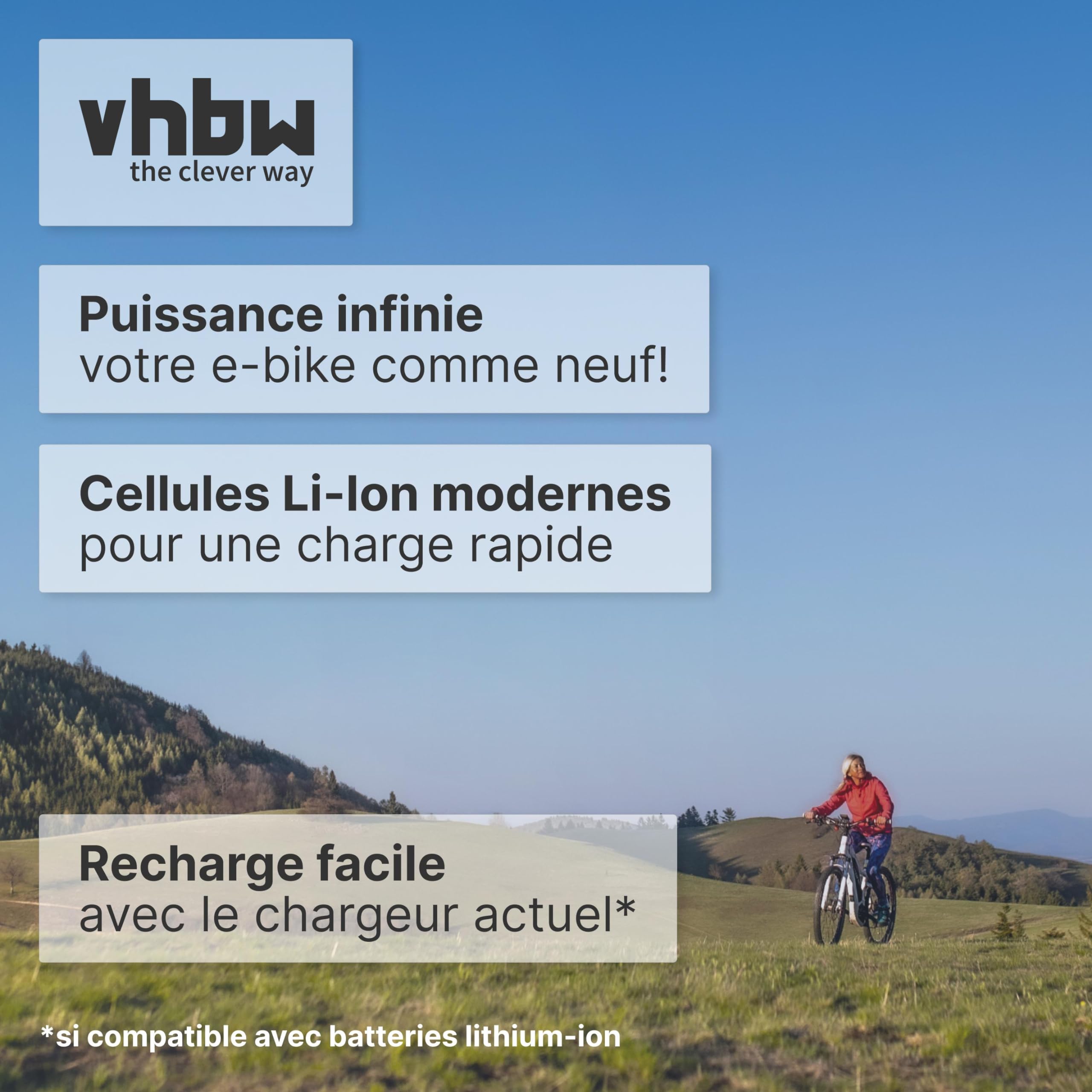 vhbw Batterie Compatible avec Panasonic Flyer T2, T5, T4, T8, T10, T10 HS, T11 HS, T14 HS, S XT 28" vélo électrique (15,6Ah, 25,2V, Li-ION) - argenté