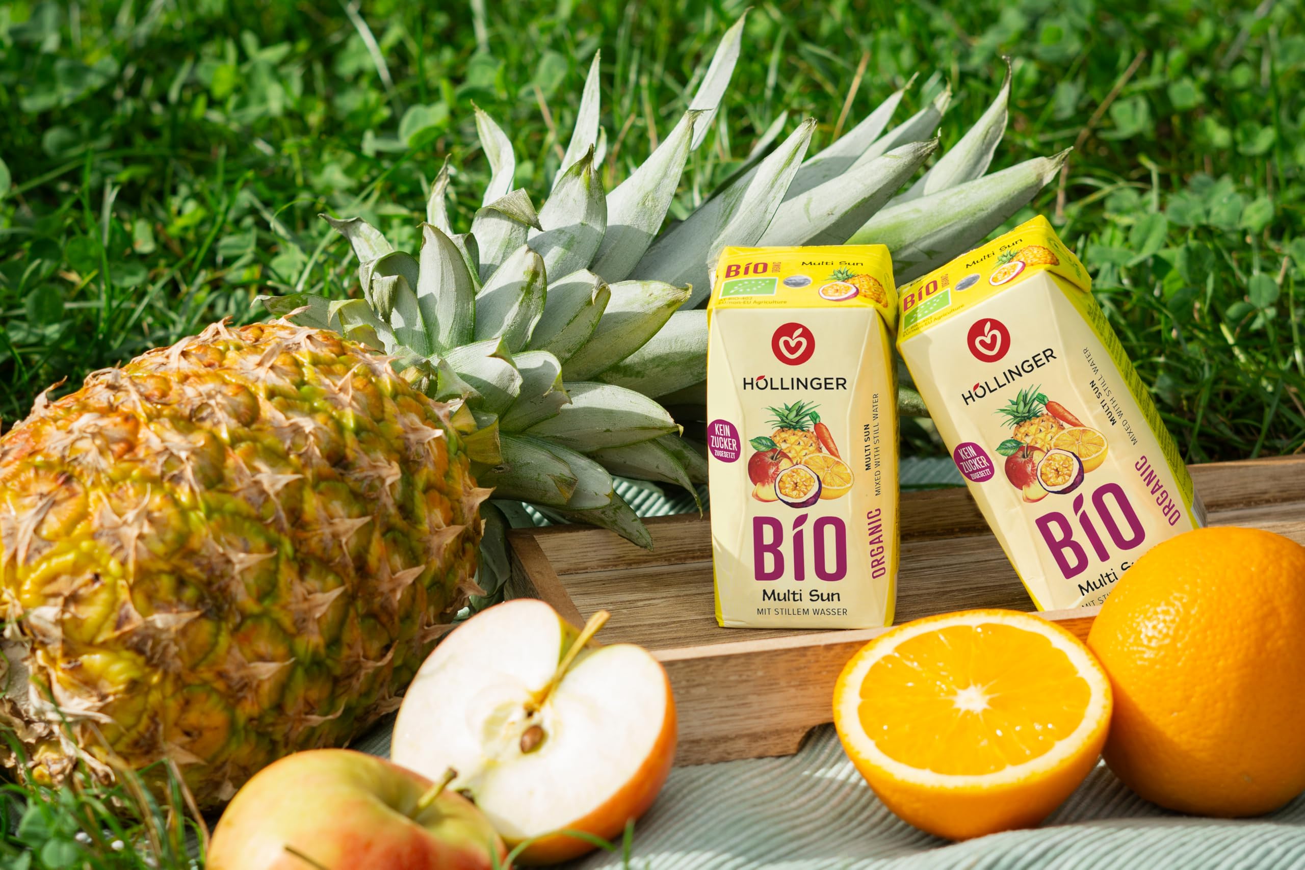 Höllinger Bio Multi Sunrise Lot de 24 boîtes de 200 ml