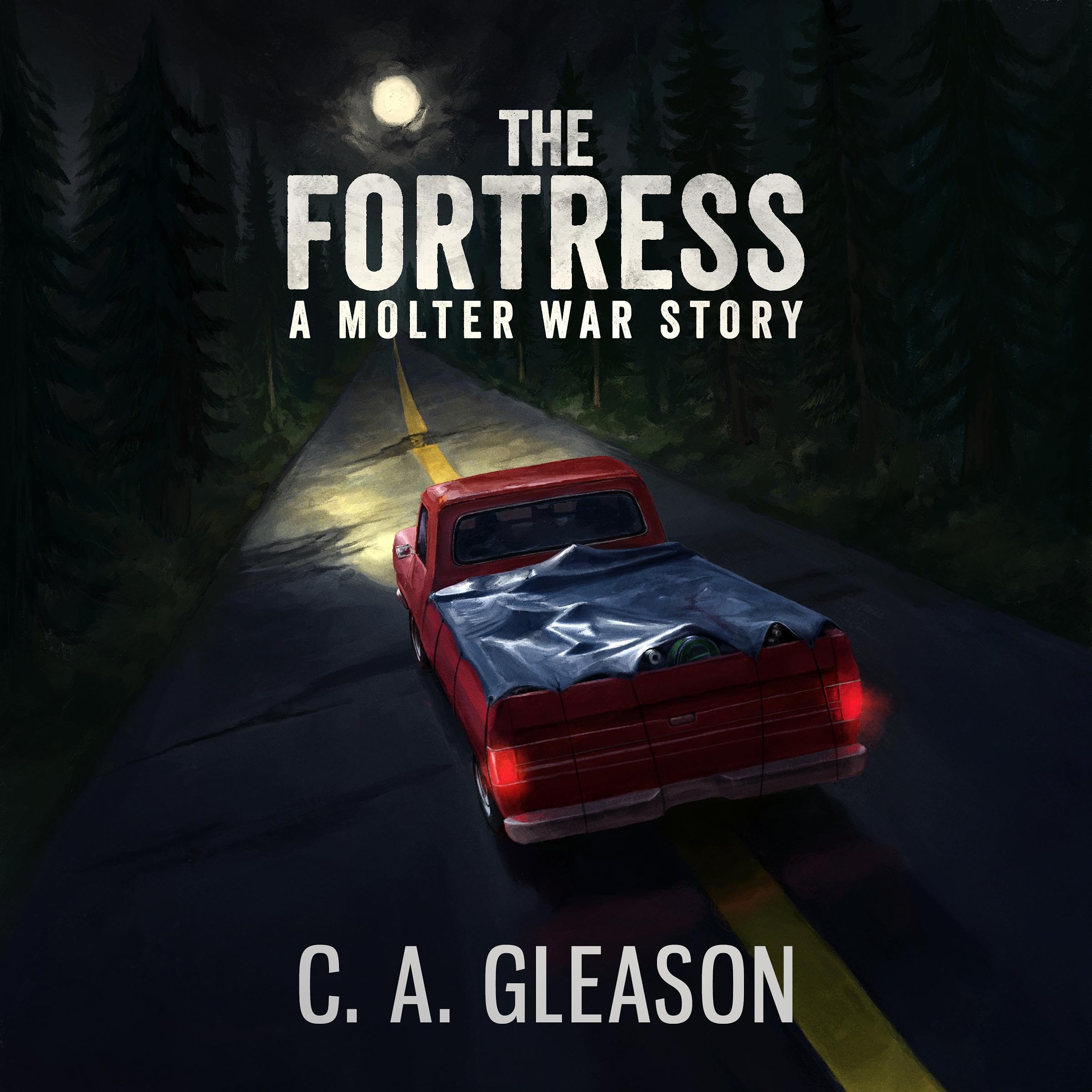 Cover art for The Fortress