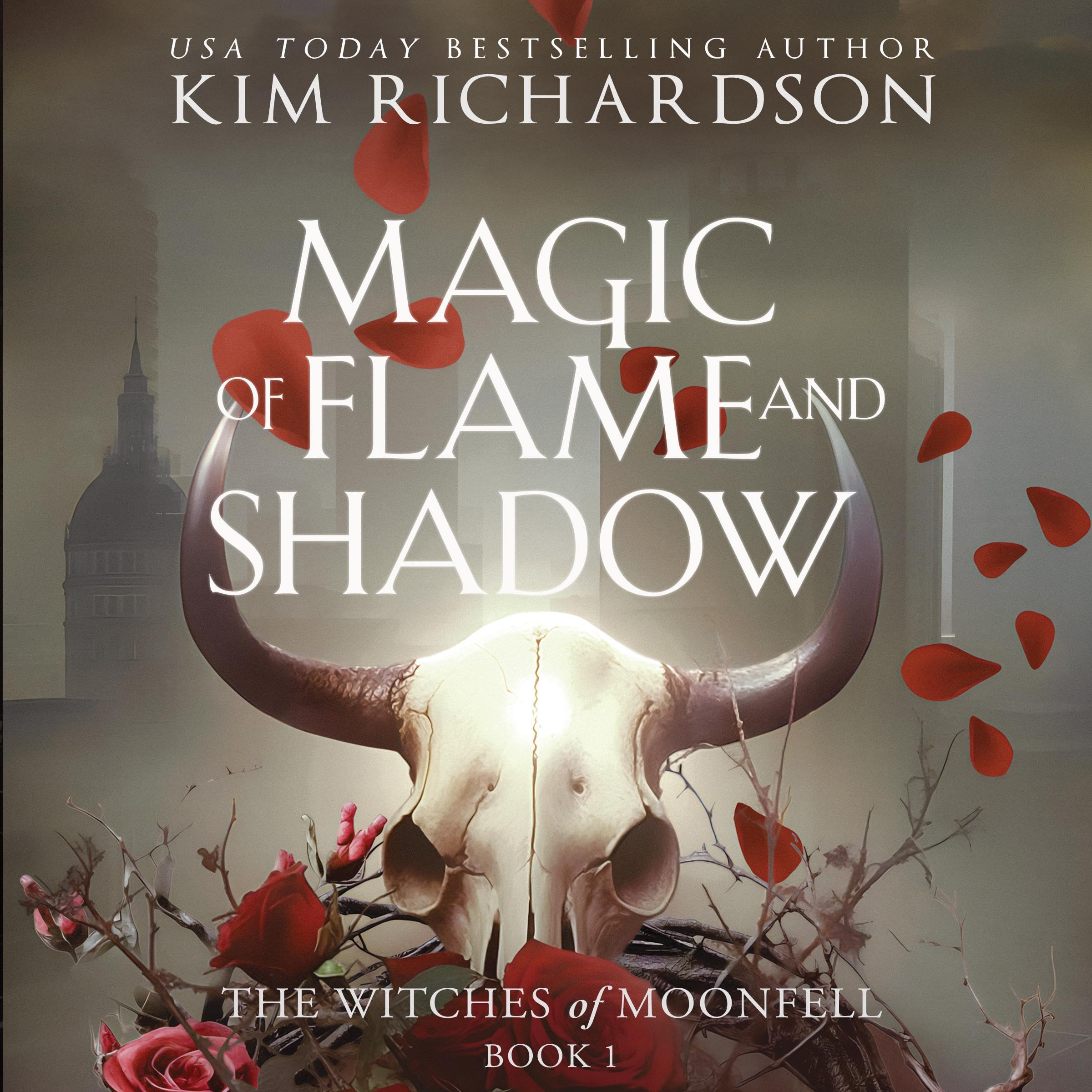 Cover art for Magic of Flame and Shadow
