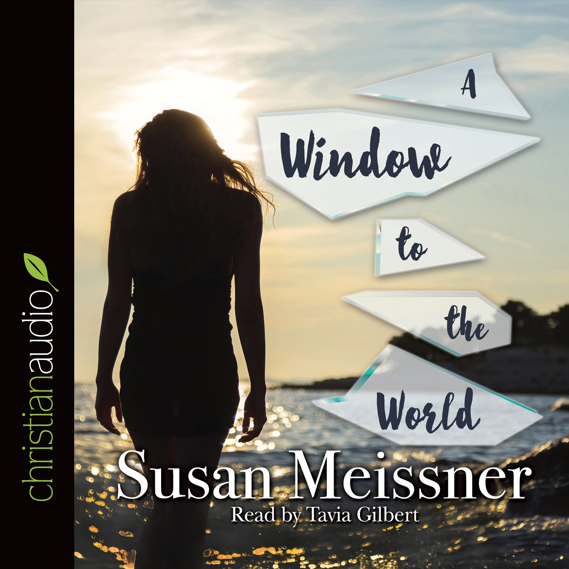 Cover art for Window to the World