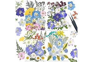 Dried Pressed Flowers, Your Versatile Resin Décor Companion