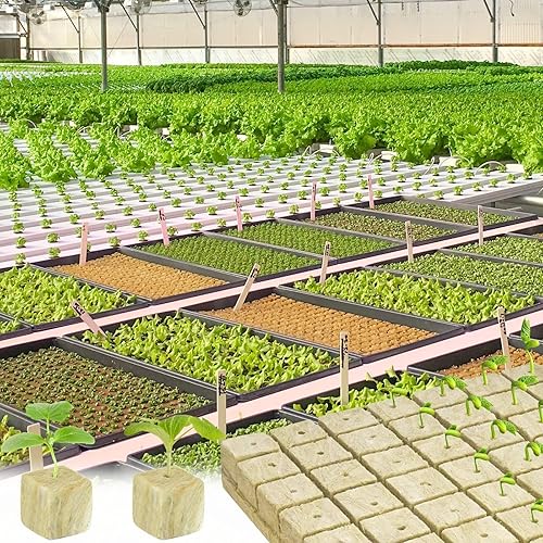 Vista 20 de Halatool Cubos de lana de roca de 1 pulgada para jardín de lana de roca, cubos de cultivo hidropónico, sin suelo, plantas clon inicio de germinación