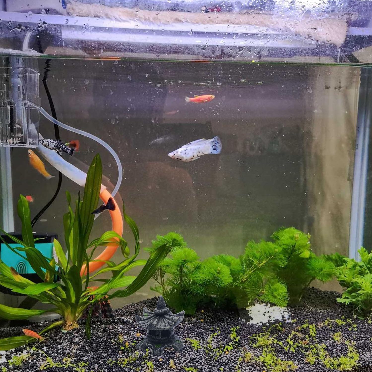 Aquarium-Dekoration 53,3 Cm Hoch – Künstliche Pflanzen Mit Keramikfuß – Weiche Blätter Für Fische