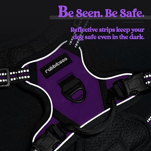 Vista 247 de rabbitgoo - Arnés antitirones para perro grande, con 2 aros para correa, acolchado suave, ajustable, tela Oxford, reflejante, no asfixia, chaleco