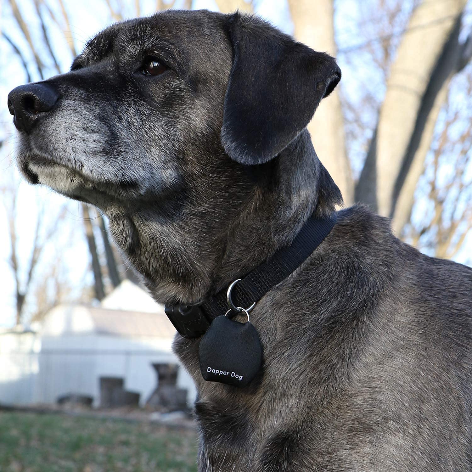 Dapper Dog - Silenciador de placa de perro con anillo de etiqueta (negro)