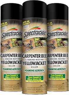 Spectracide Carpenter Bee and Ground-Nesting Yellowjacket Killer Foaming Aerosol 16 Ounces, Expands to Where Insects Live, 3 Pack