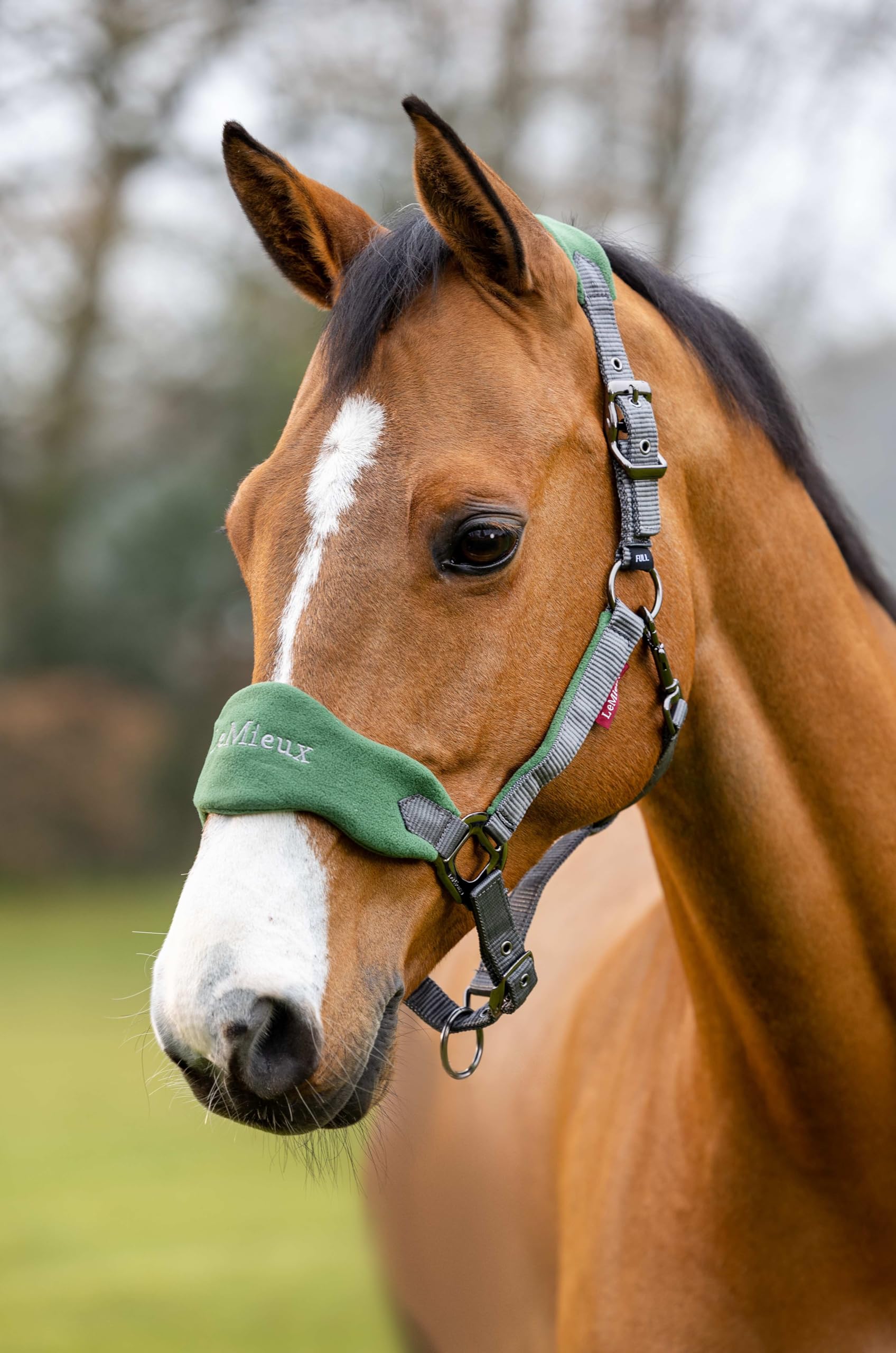 LeMieux Vogue Fleece Headcollar with Lead Rope - Extra Padding, Adjustable at Curb and Poll Strap - 2