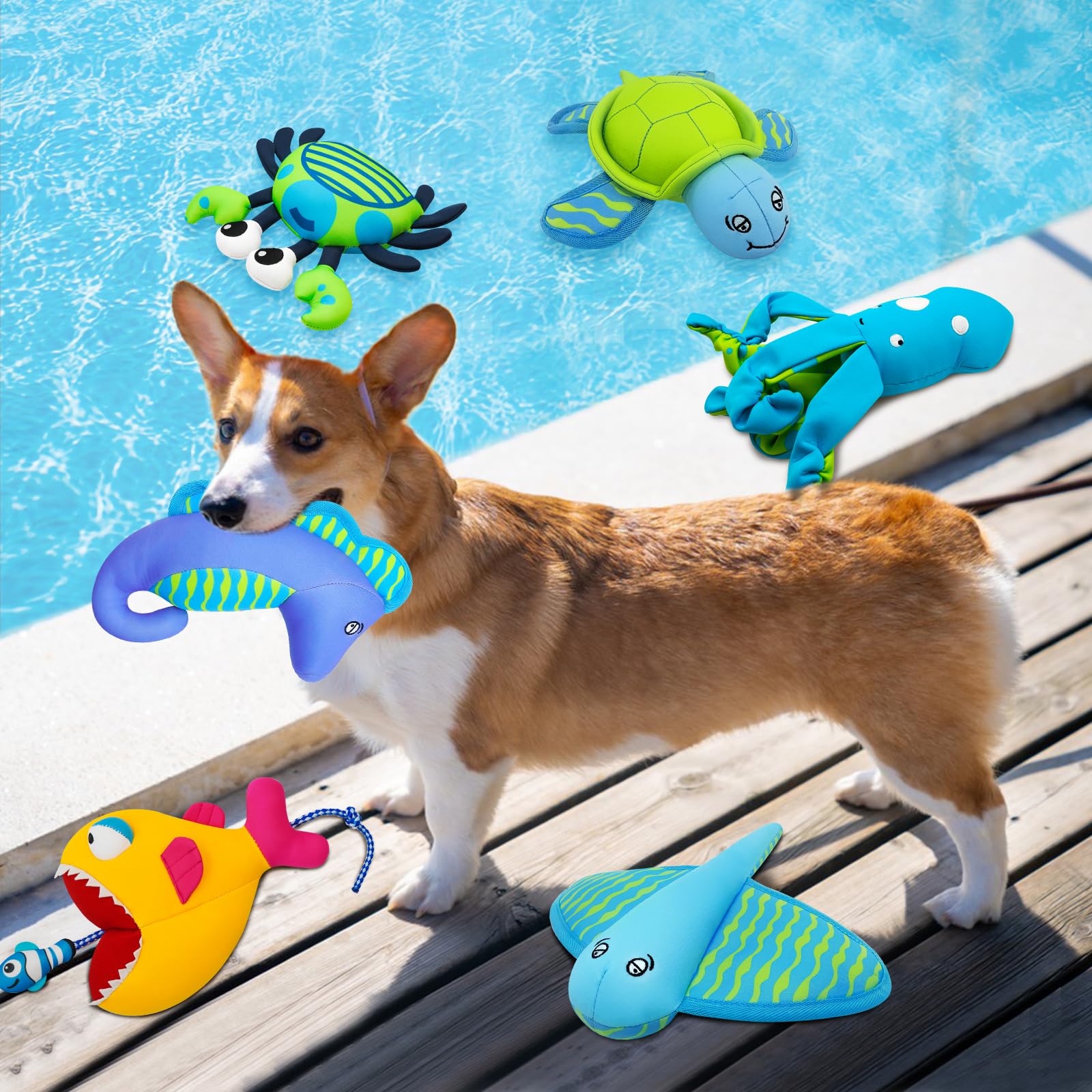 Hundespielzeug, schwimmendes Wasserspielzeug für Hunde, Outdoor Strand Interaktives Hundespielzeug für kleine und mittelgroße Hunde,Schildkröte