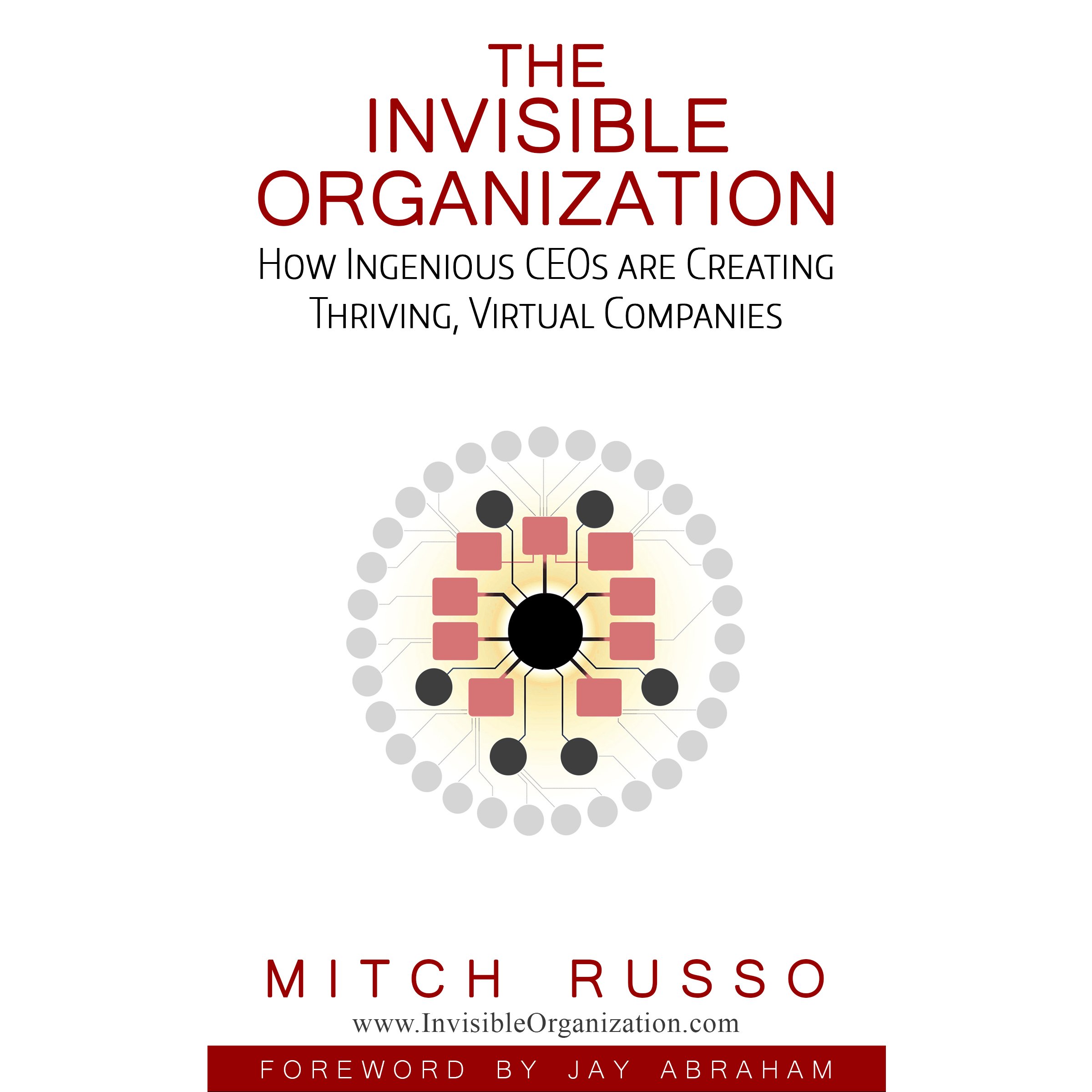 Cover art for The Invisible Organization