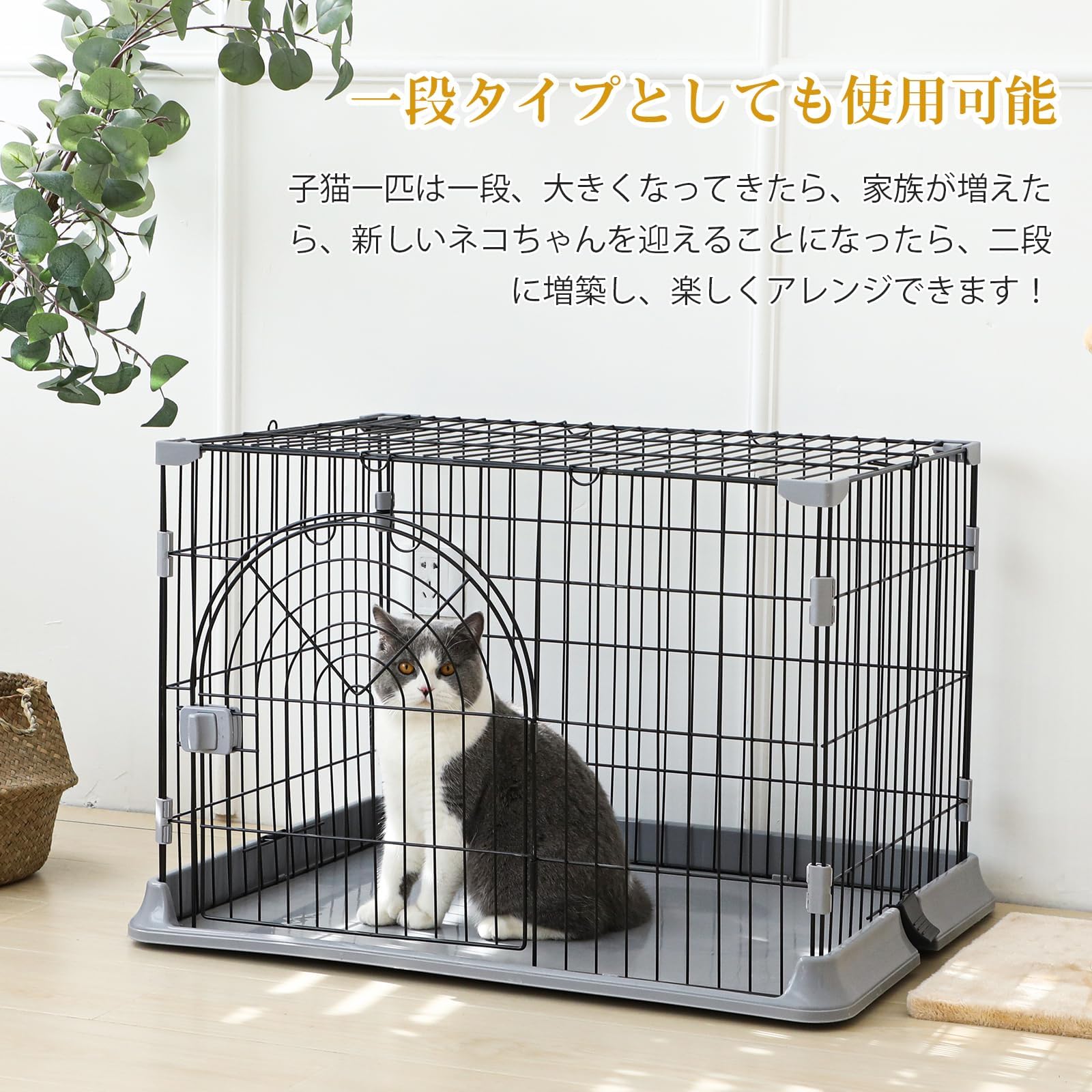 ねこねこページ① Amazon.co.jp: クラックス うちのねこちゃん したじき あそぼう