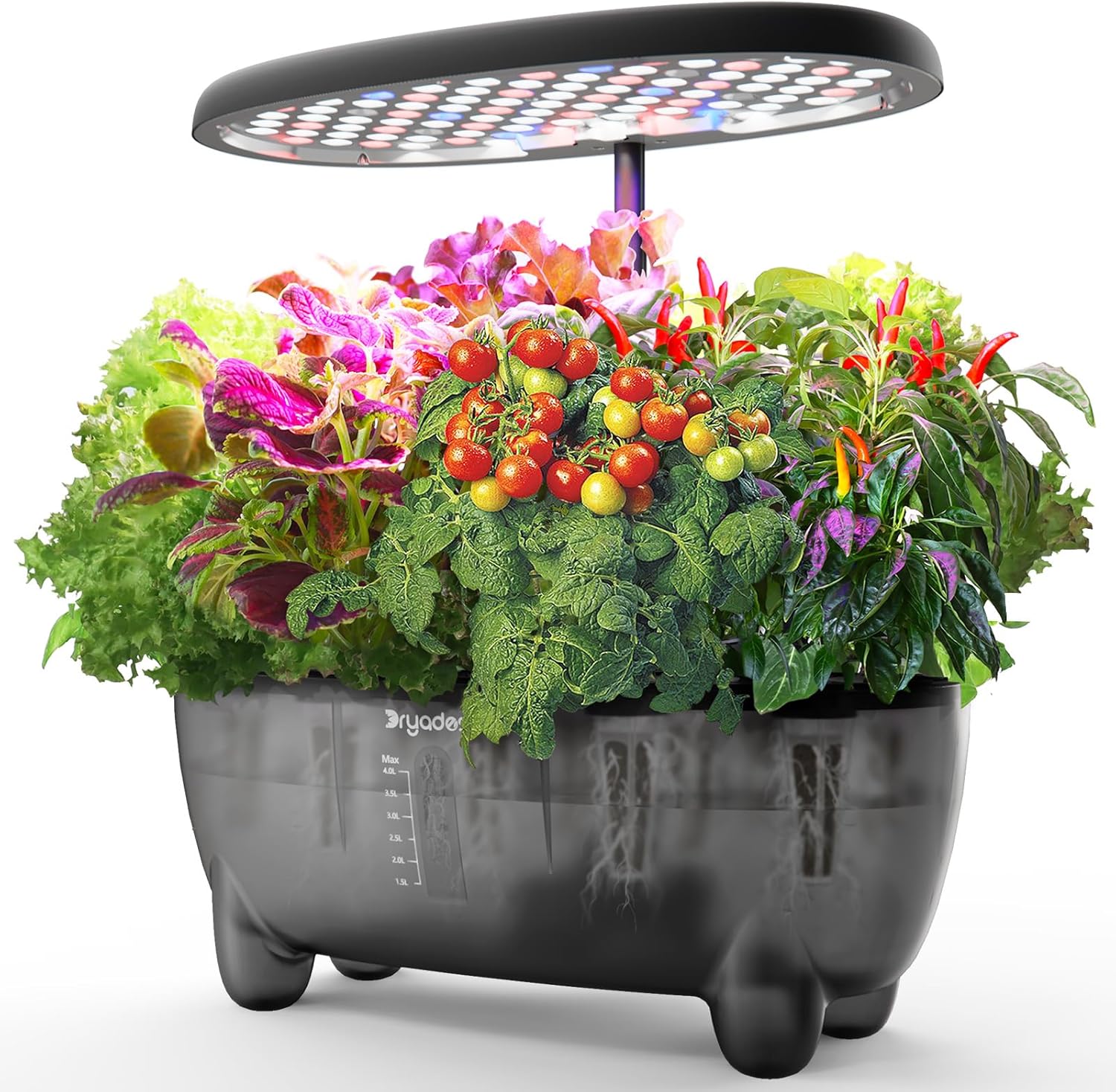 DRYADES 12-Pod Indoor Herb Garden