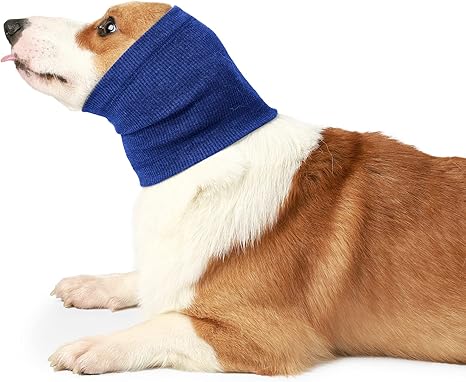 dog ear warmers
