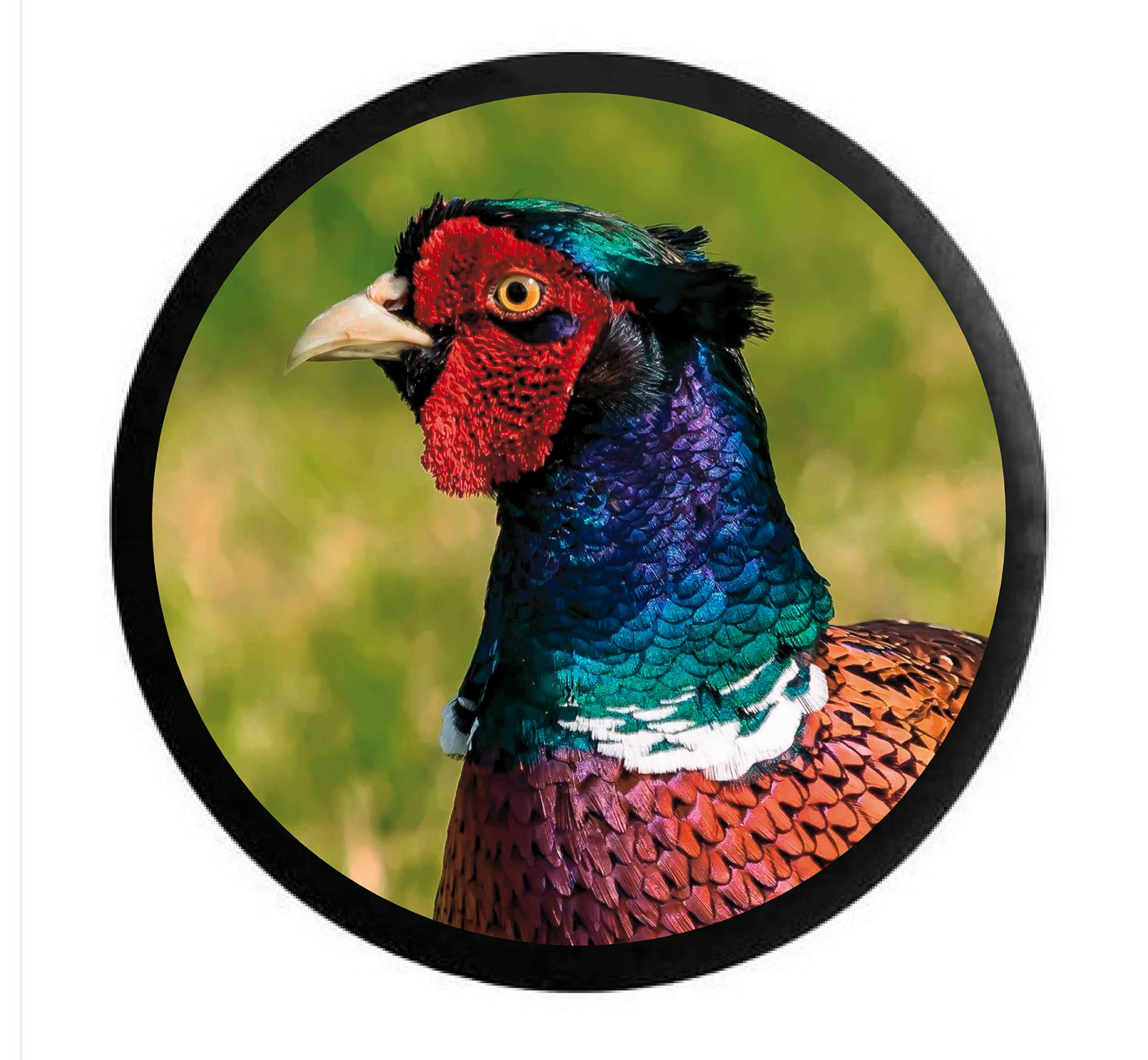 LightningSigns Pheasant Vinyl, Gamekeeper, Car, Van, Wall, Spare Wheel Cover, Sticker Decal