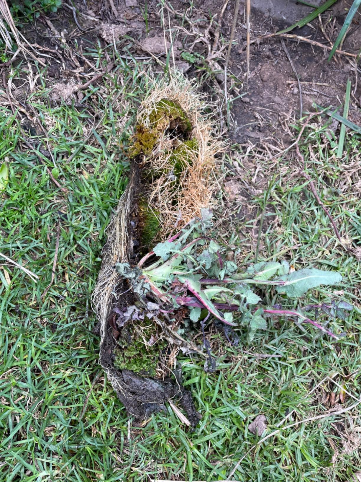 Gutter Sense Gutter Cleaning Tool Home