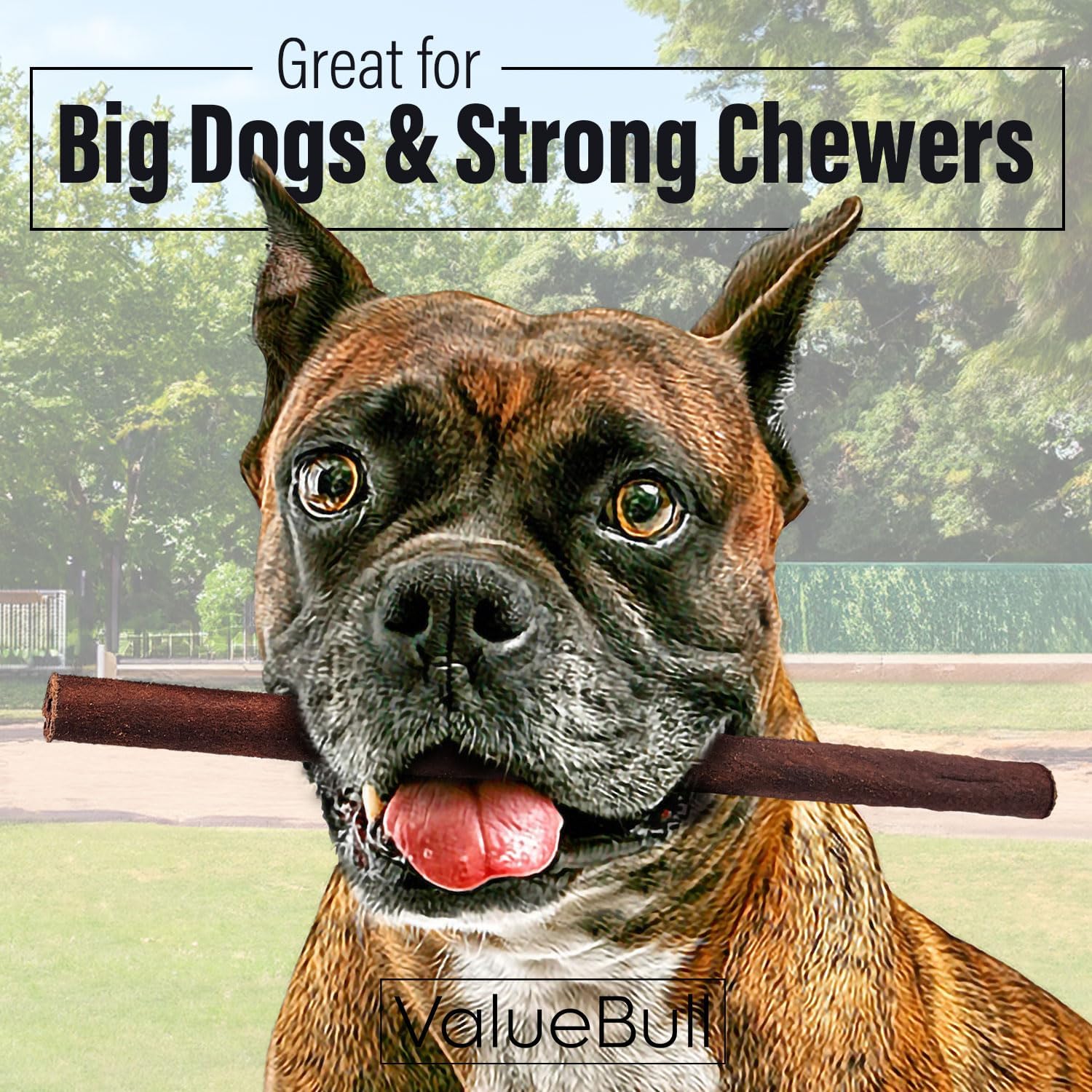 ValueBull Collagen Sticks for Dogs, 12 Inch Thick Chews, Natural Long-Lasting Dog Treats, 200 Count Bulk Pack - Supports Joints, Skin & Coat with Chondroitin & Glucosamine