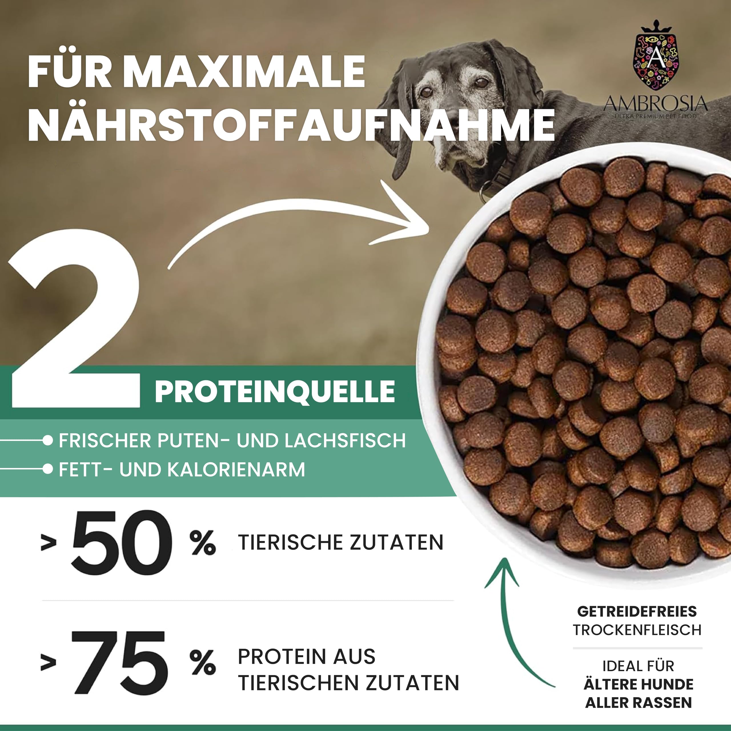Ambrosia Ultra Premium Pet Food - Świeży indyk i łosoś – kontrola wagi – całościowo hipoalergiczna, nie zawiera zbóż, dla starszych i sterylizowana karma dla psów (12 kg)