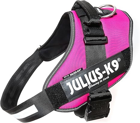 amazon julius k9 mini