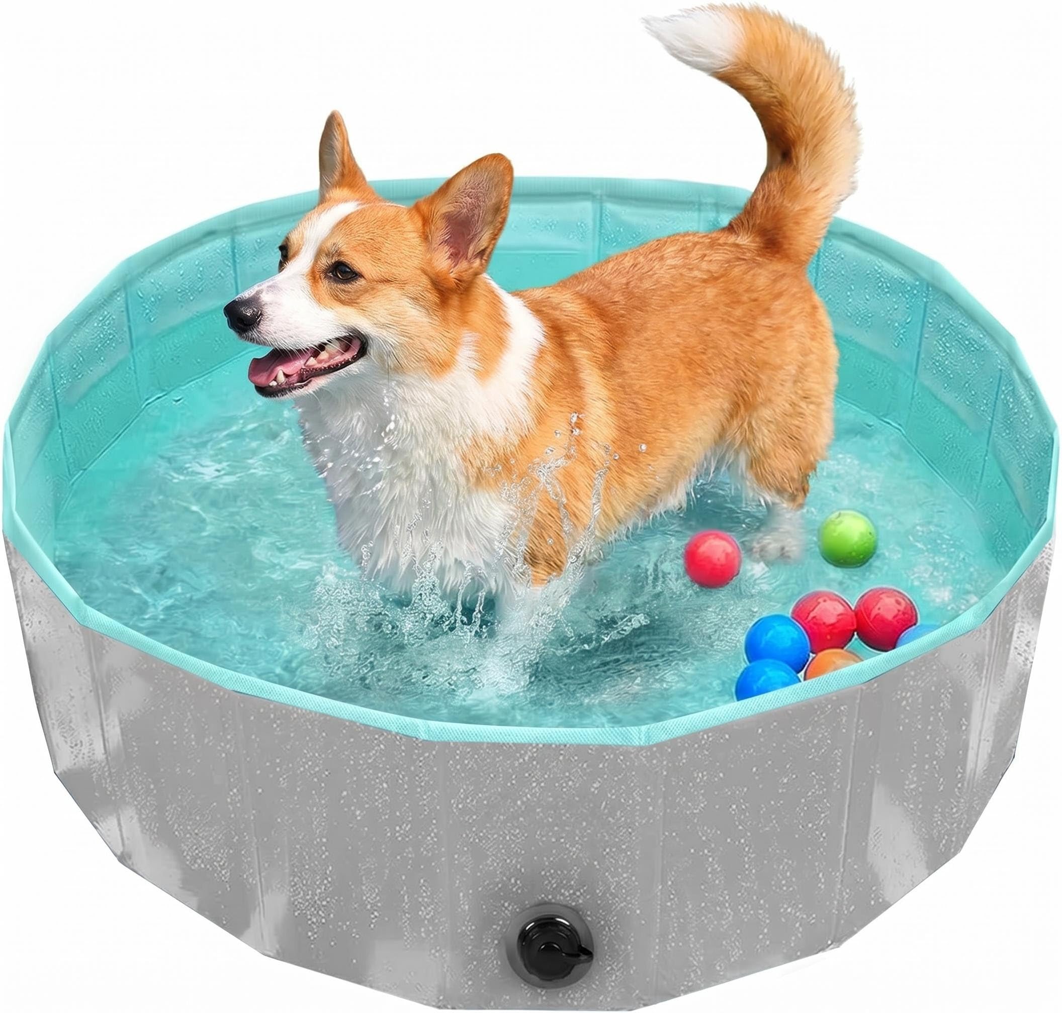 Piscina para Perros Grandes y Pequeños, Piscinas Plegable Rigida Antideslizante, Bañera para Mascotas Portátil con Desagüe, para Mascotas, Gatos, Uso Interior y Exterior (80x20cm) (Small)