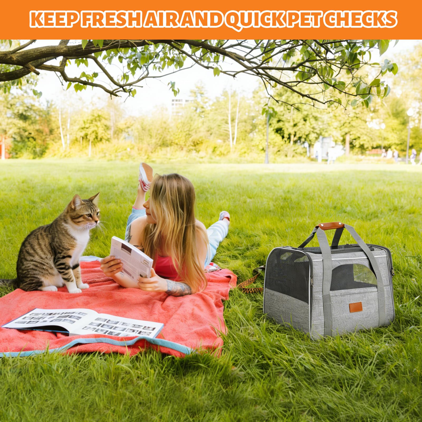 Transporttasche für Katze Hund, Katzentragetasche, Katzentransportbox, Faltbar Tragetasche Katzentransporttasche, Für Katze Kätzchen Welpen bis 7 Kg, Transportbox für Hund Katze, Zug, Reisen