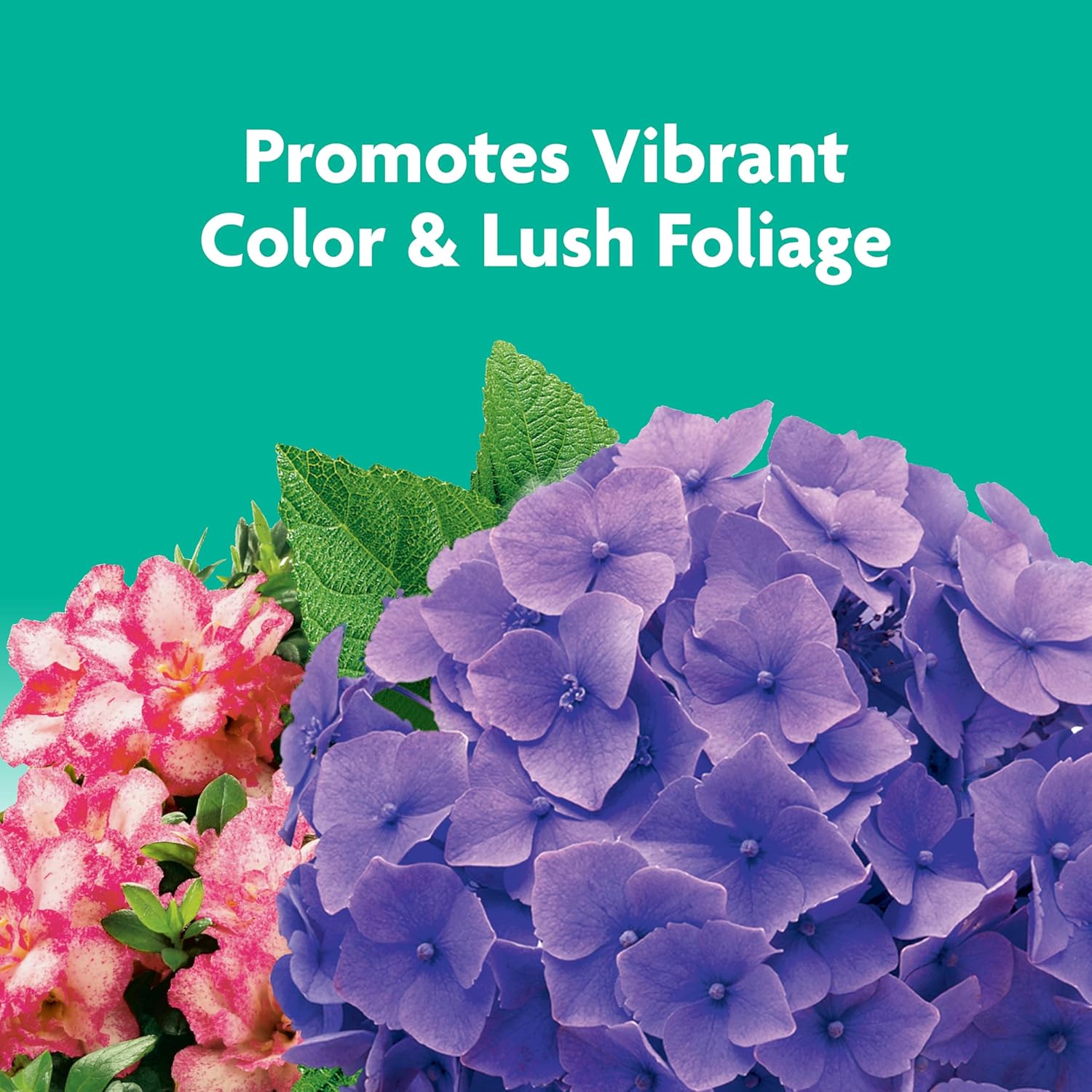 Miracle-Gro Tree and Shrub Plant Food Spikes - Deciduous, Flowering & Evergreen Tree Fertilizer Spikes, Hydrangeas, and Acid-Loving Plants, 12 Count, 3 lb.