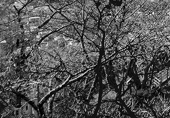 現代アート 漆の平面 下地ワークス・カルト 現代アート 漆の平面