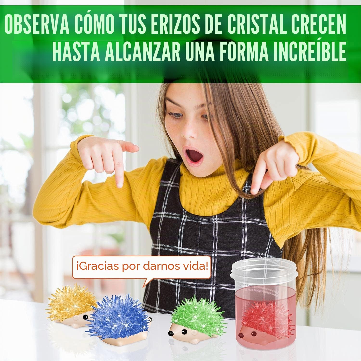 Kit de Cultivo de Cristales para Niños con Modelos de Erizo 4 Paquetes, Juego de Experimentos Científicos para Niños Niñas 6 7 8 9 10 Años